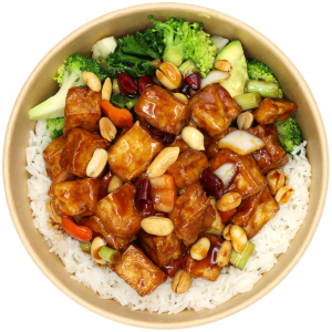 Kungpao WS-Tofu